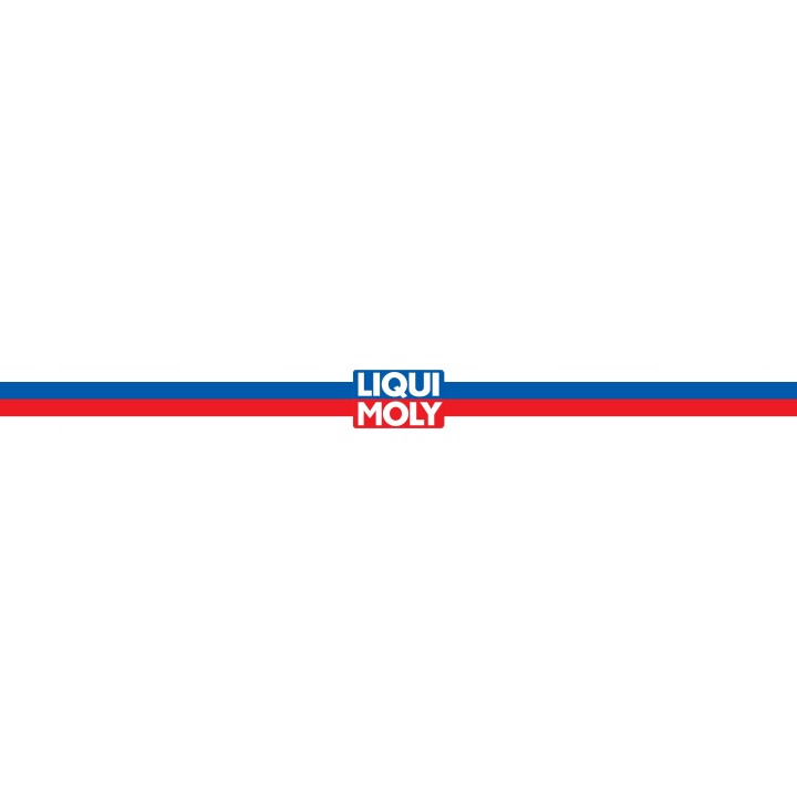 LIQUI MOLY ŚRODEK PRZECIW WYCIEKOM OLEJU SILNIKA 300ML / LIQUI MOLY