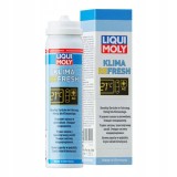 LIQUI MOLY ŚRODEK DO CZYSZCZENIA KLIMATYZACJI GRANAT 75ML / LIQUI MOLY
