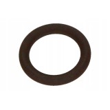 USZCZELKA ORING BAGNETU BMW