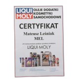 LIQUI MOLY PŁYN DO CZYSZCZENIA KOLEKTORÓW DOLOTOWYCH 300ML DIESEL / PRO LIN