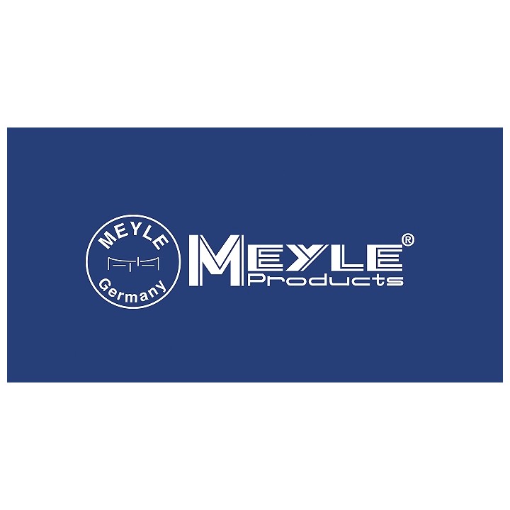 MEYLE HD 2X ŁĄCZNIKI STABILIZATORA RENAULT ESPACE TALISMAN MEGANE 3 SCENIC